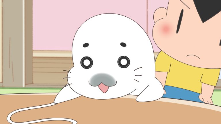 アザラシのヒモ